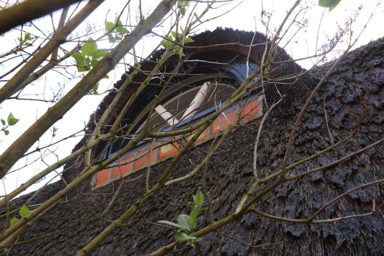 Cavalli'S Cottage Bilthoven Exterior foto
